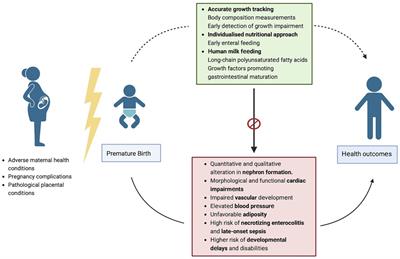 Cognitive development 2024 in premature babies